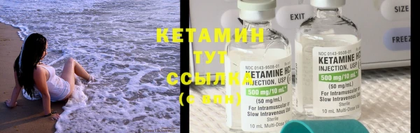 гашик Ельня