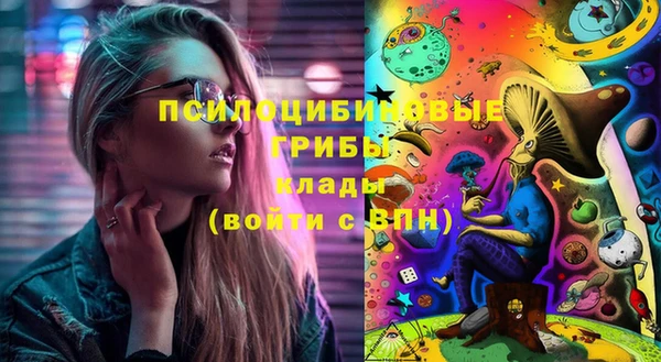 стаф Елизово