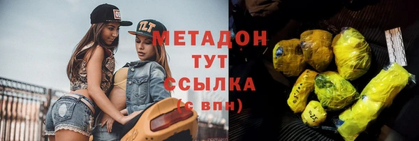 гашик Ельня