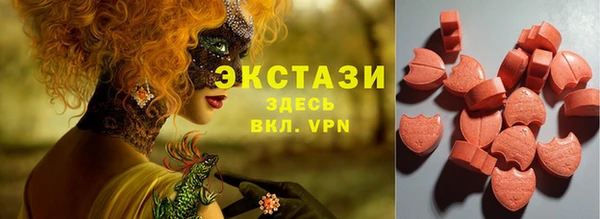 гашик Ельня