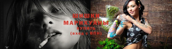 стаф Елизово