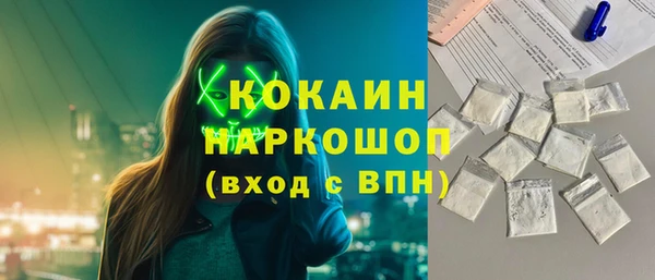 гашик Ельня