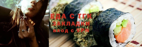 гашик Ельня
