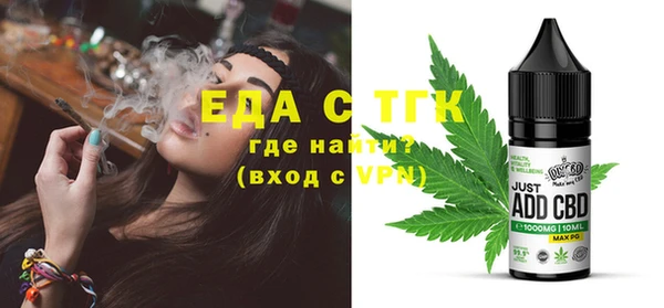 гашик Ельня