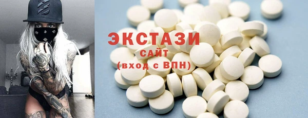 гашик Ельня