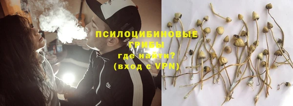 стаф Елизово