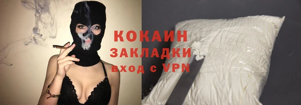 гашик Ельня
