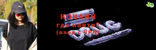 гашик Ельня