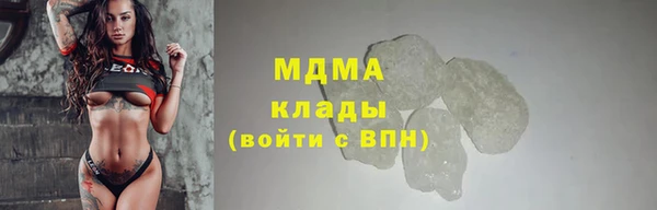 гашик Ельня