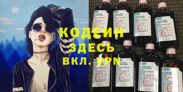 гашик Ельня