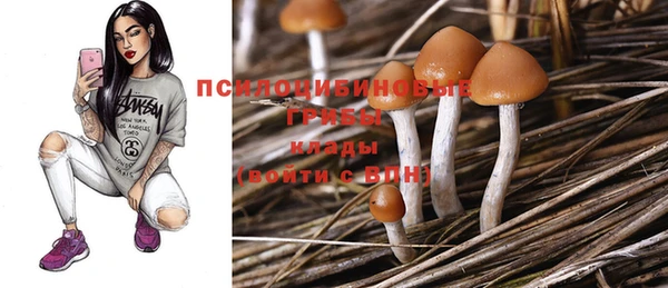 гашик Ельня