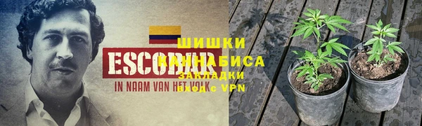 стаф Елизово