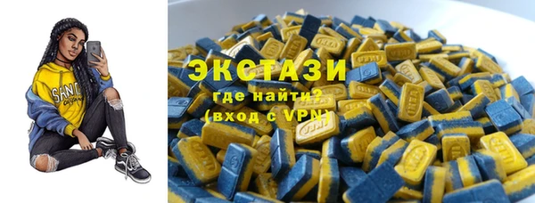 гашик Ельня