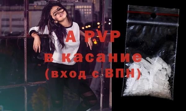 гашик Ельня