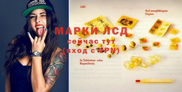 гашик Ельня