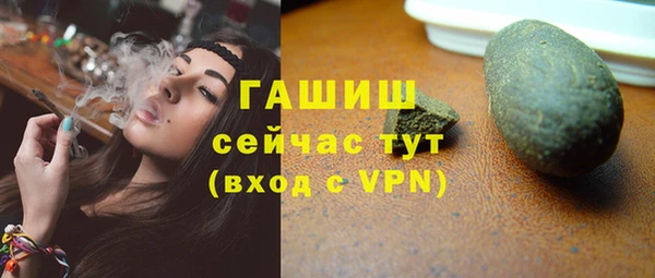 гашик Ельня