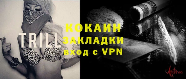 гашик Ельня