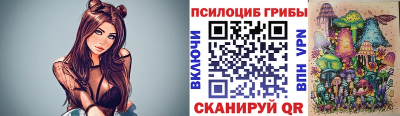 Псилоцибиновые грибы мицелий Кисловодск