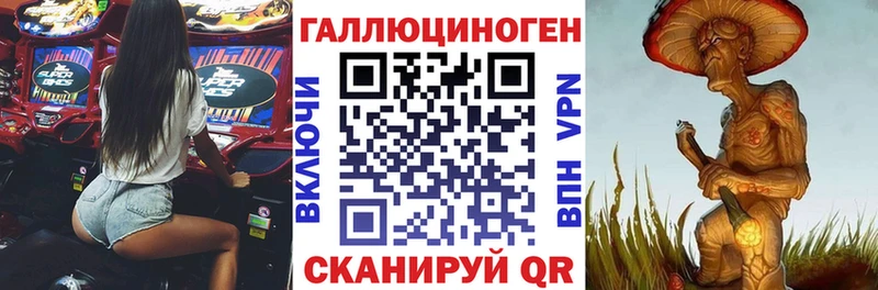 Псилоцибиновые грибы мицелий  Кисловодск 